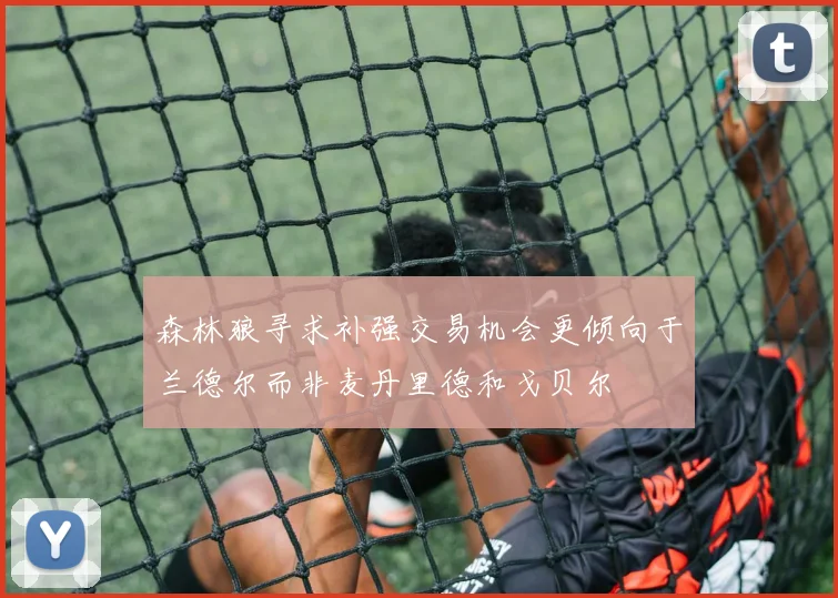 森林狼寻求补强交易机会更倾向于兰德尔而非麦丹里德和戈贝尔