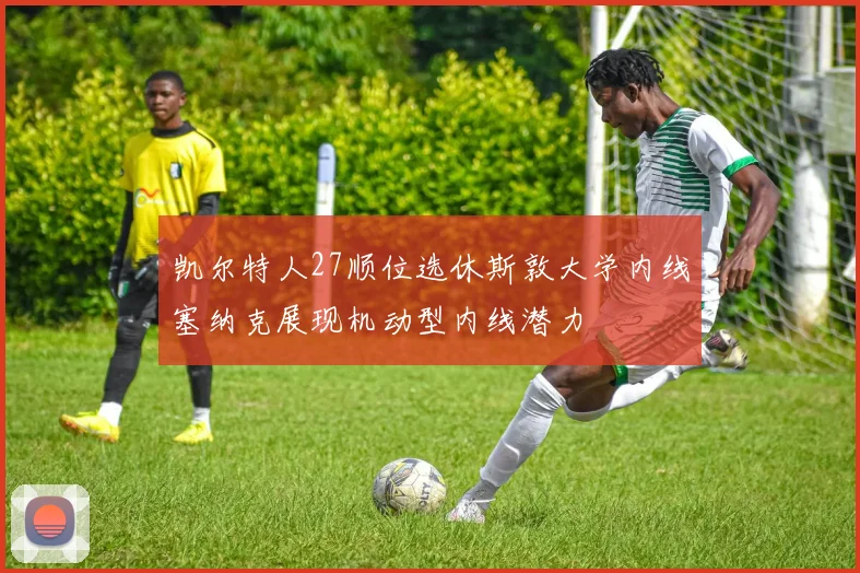 凯尔特人27顺位选休斯敦大学内线塞纳克展现机动型内线潜力