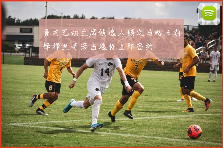 费内巴切主席候选人锁定马略卡前锋穆里奇若当选将立即签约